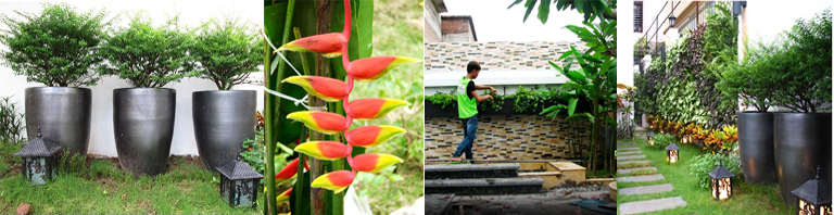 Thiết kế bố cục cảnh quan